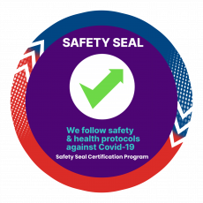 ICON SAFETYSEAL